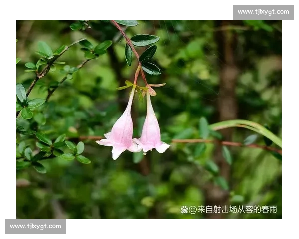 白教视角：滔搏八强之路，每一秒都攥心
